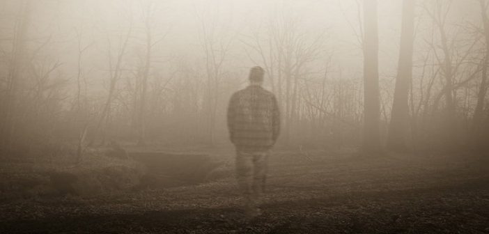 figura fantasmal caminando por el bosque que simboliza una pérdida y las etapas del dolor